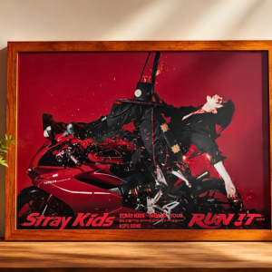 Cuadro Decorativo Premium A3 – Stray Kids (Elige tu integrante)